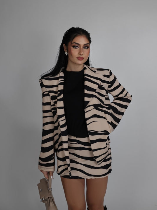 Conjunto zebra